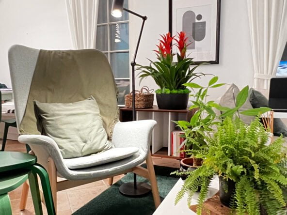 Portville holiday villas No 98 3