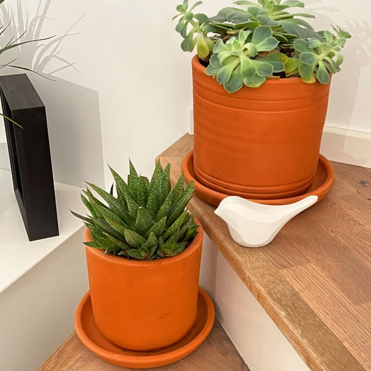 Portville holiday villas No 98 5