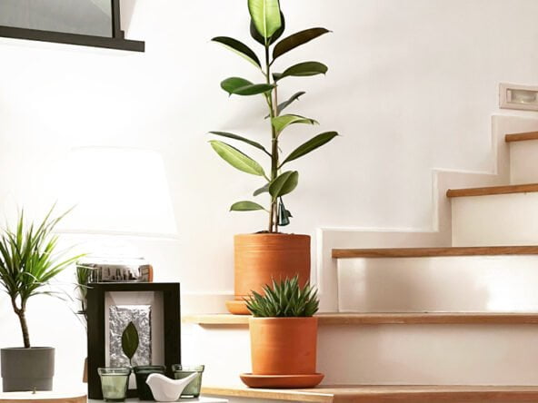 Portville holiday villas No 98 6