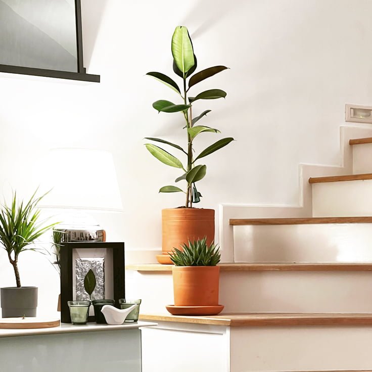 Portville holiday villas No 98 6