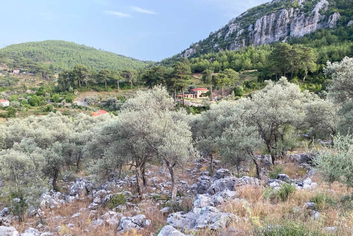 Gokceovacik 162 6 gocek rentals 1