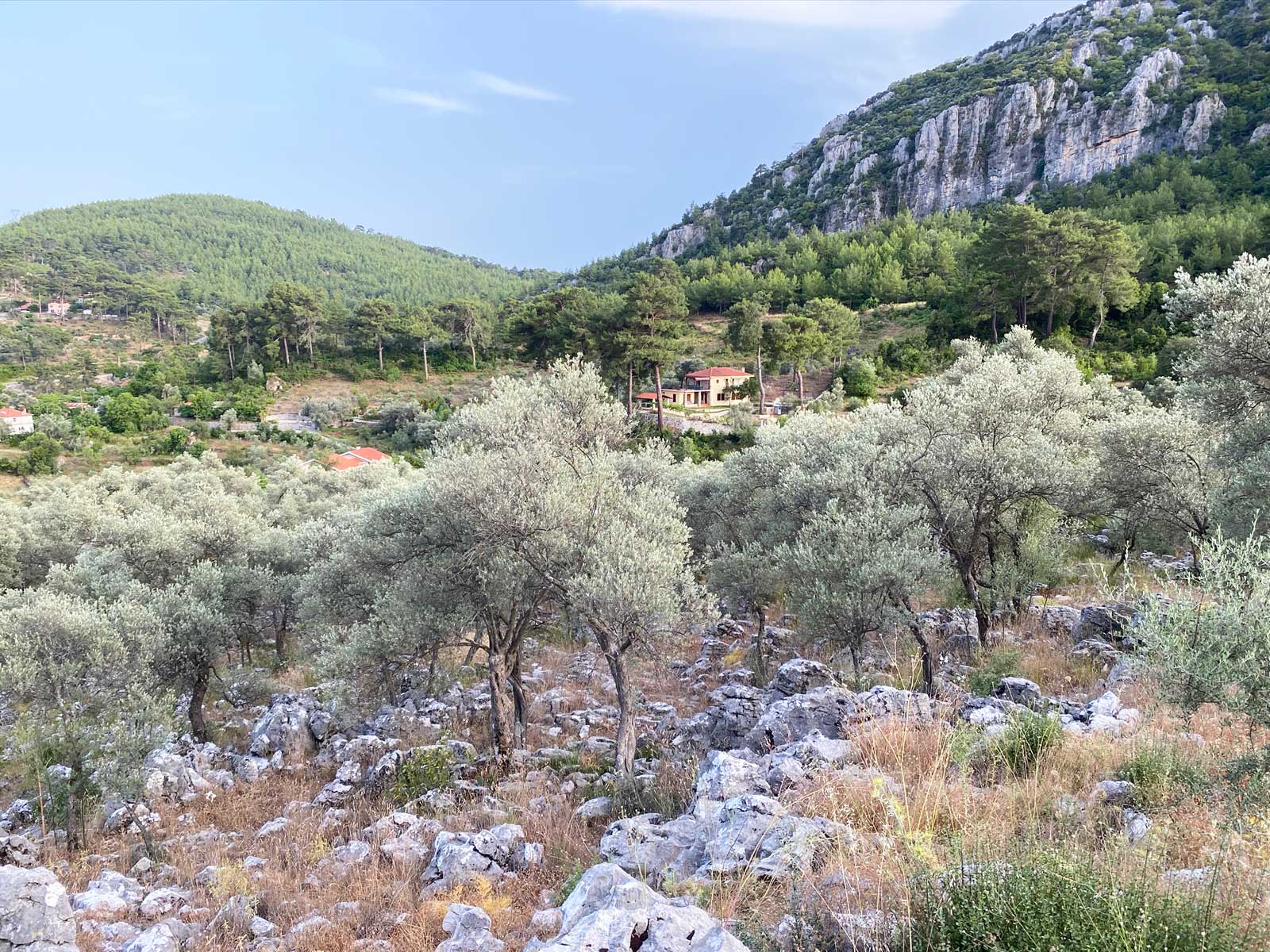 Gokceovacik 162 6 gocek rentals 1