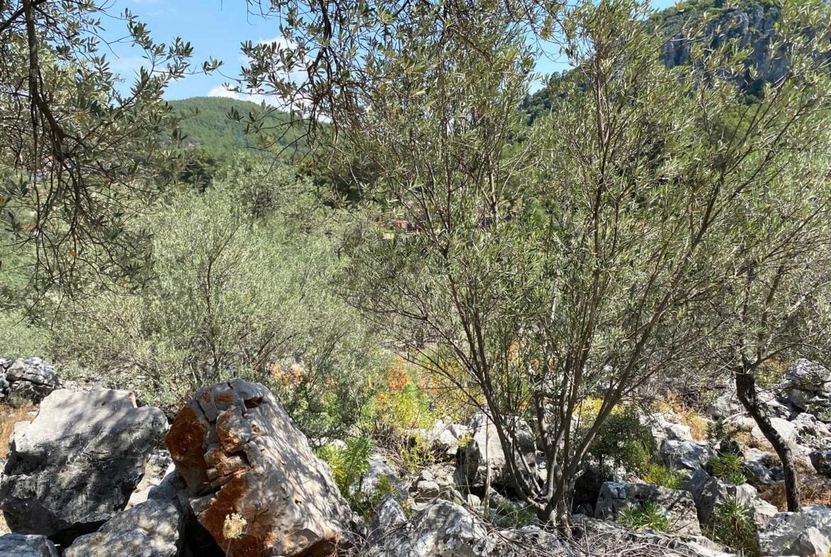 Gokceovacik 162 6 gocek rentals 10