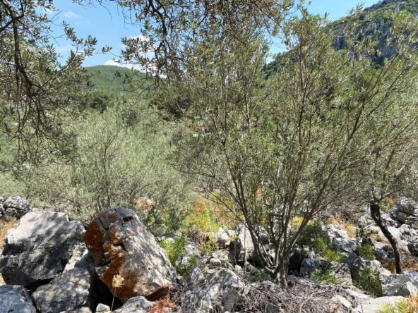 Gokceovacik 162 6 gocek rentals 10