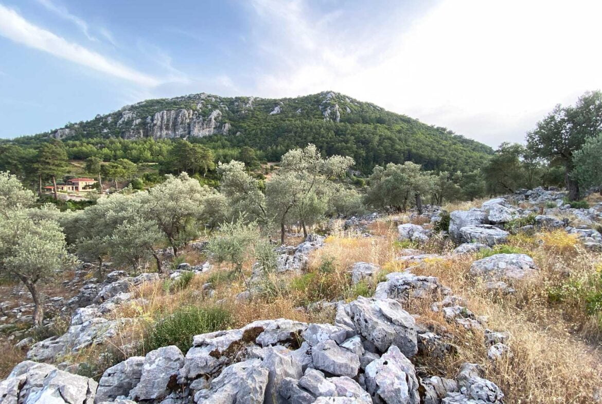 Gokceovacik 162 6 gocek rentals 3