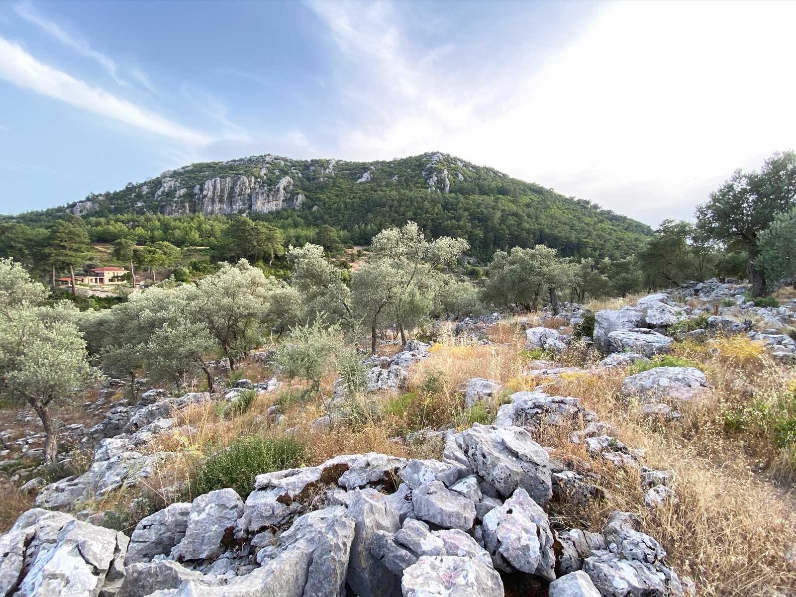 Gokceovacik 162 6 gocek rentals 3