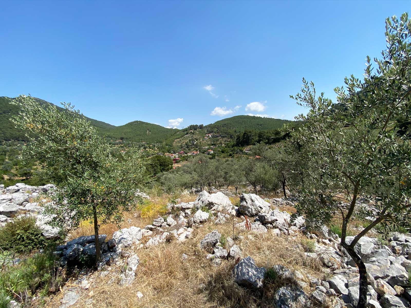 Gokceovacik 162 6 gocek rentals 4