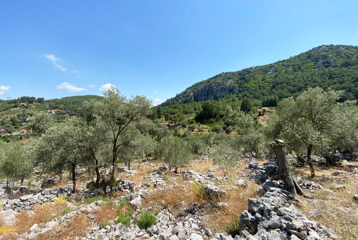 Gokceovacik 162 6 gocek rentals 6