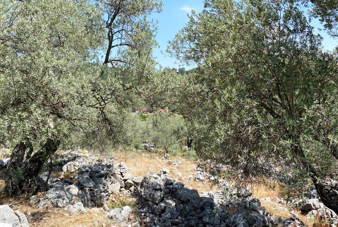 Gokceovacik 162 6 gocek rentals 8