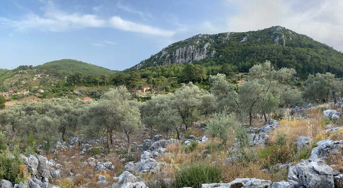 Gokceovacik 162 6 gocek rentals 9