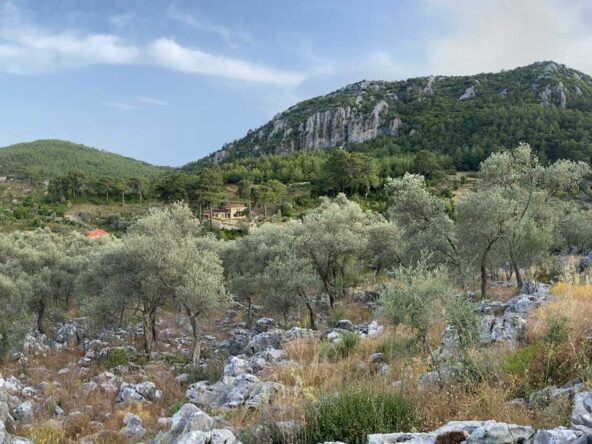 Gokceovacik 162 6 gocek rentals 9