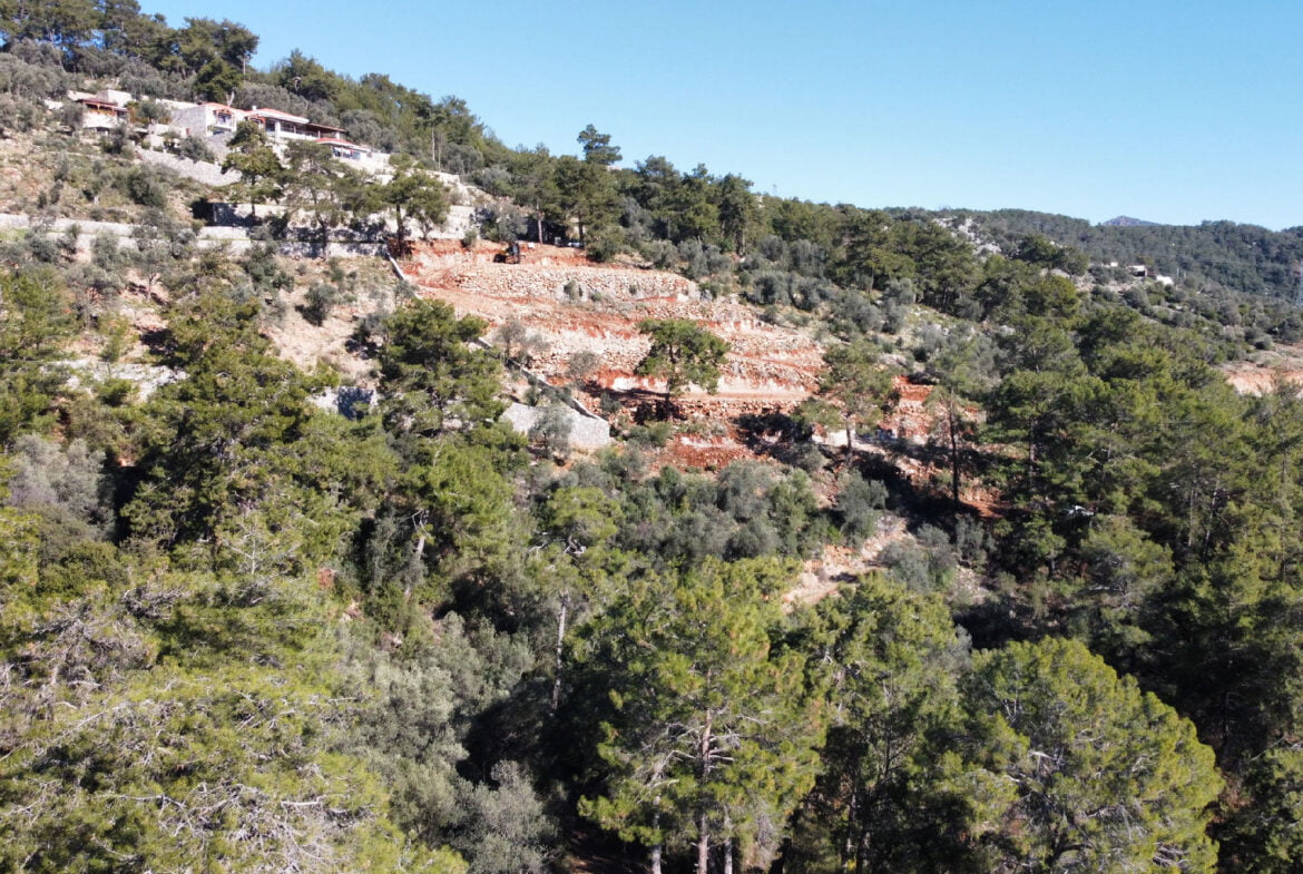 calbali satilik arazi 295507