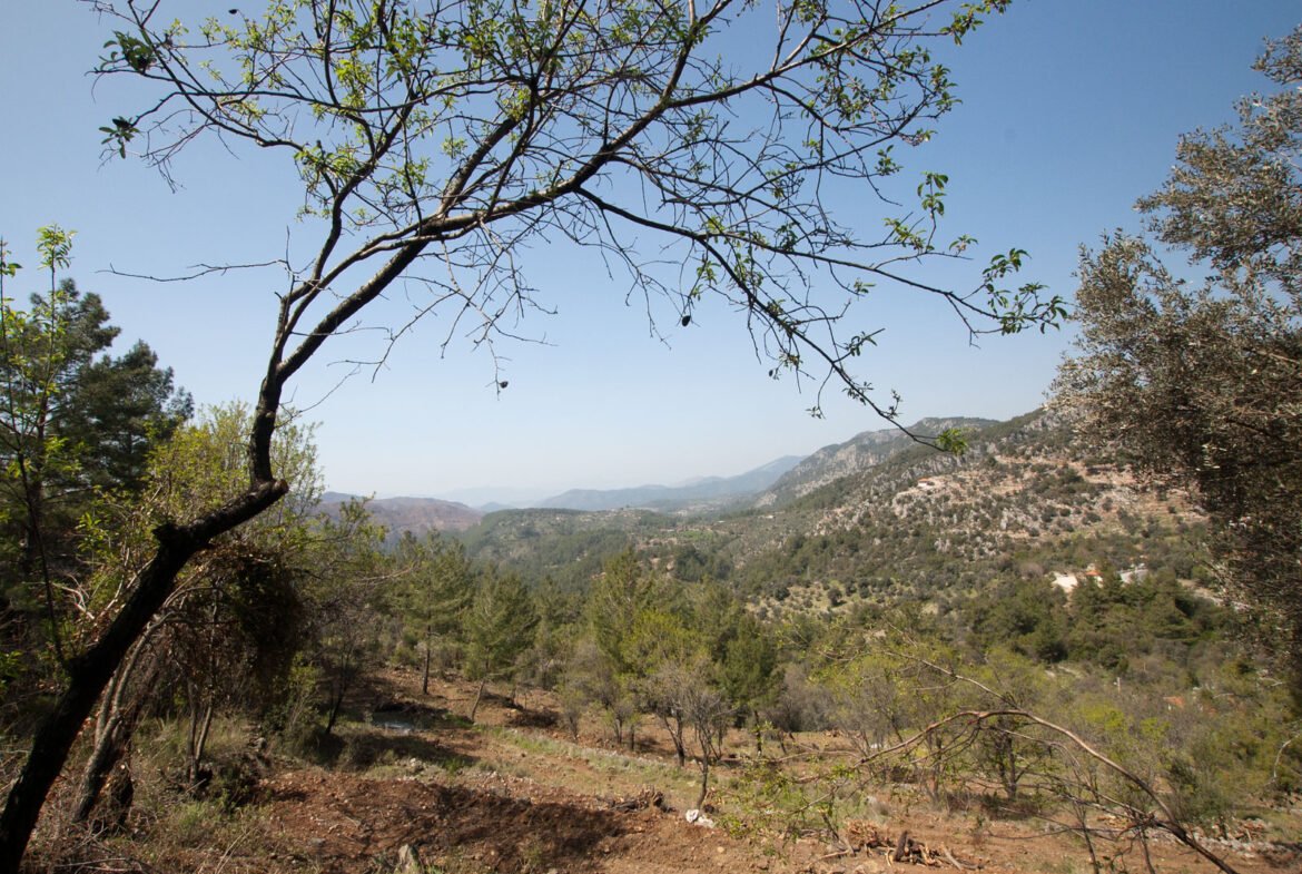 gokceovacik 104 5 gocek renals 10