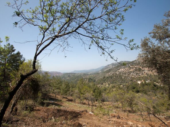 gokceovacik 104 5 gocek renals 10