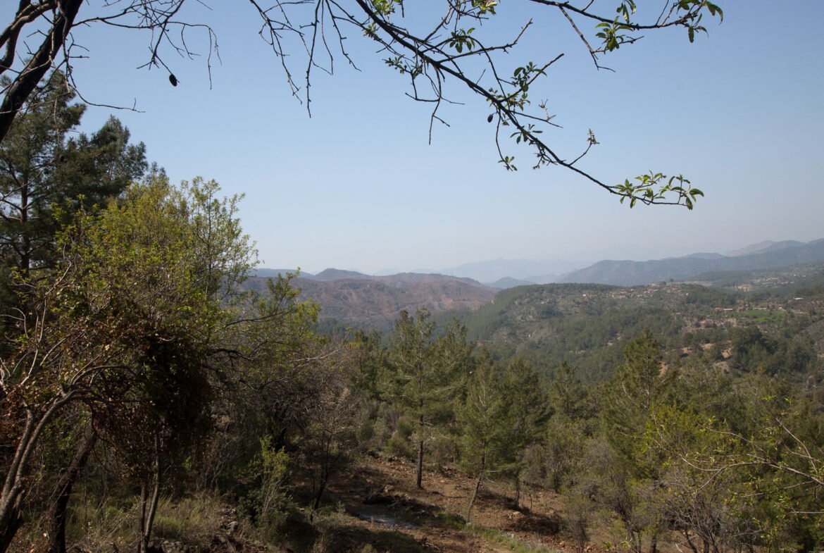 gokceovacik 104 5 gocek renals 11