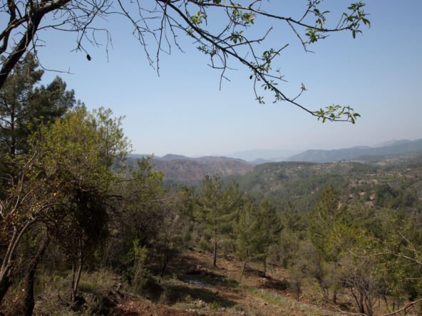 gokceovacik 104 5 gocek renals 11