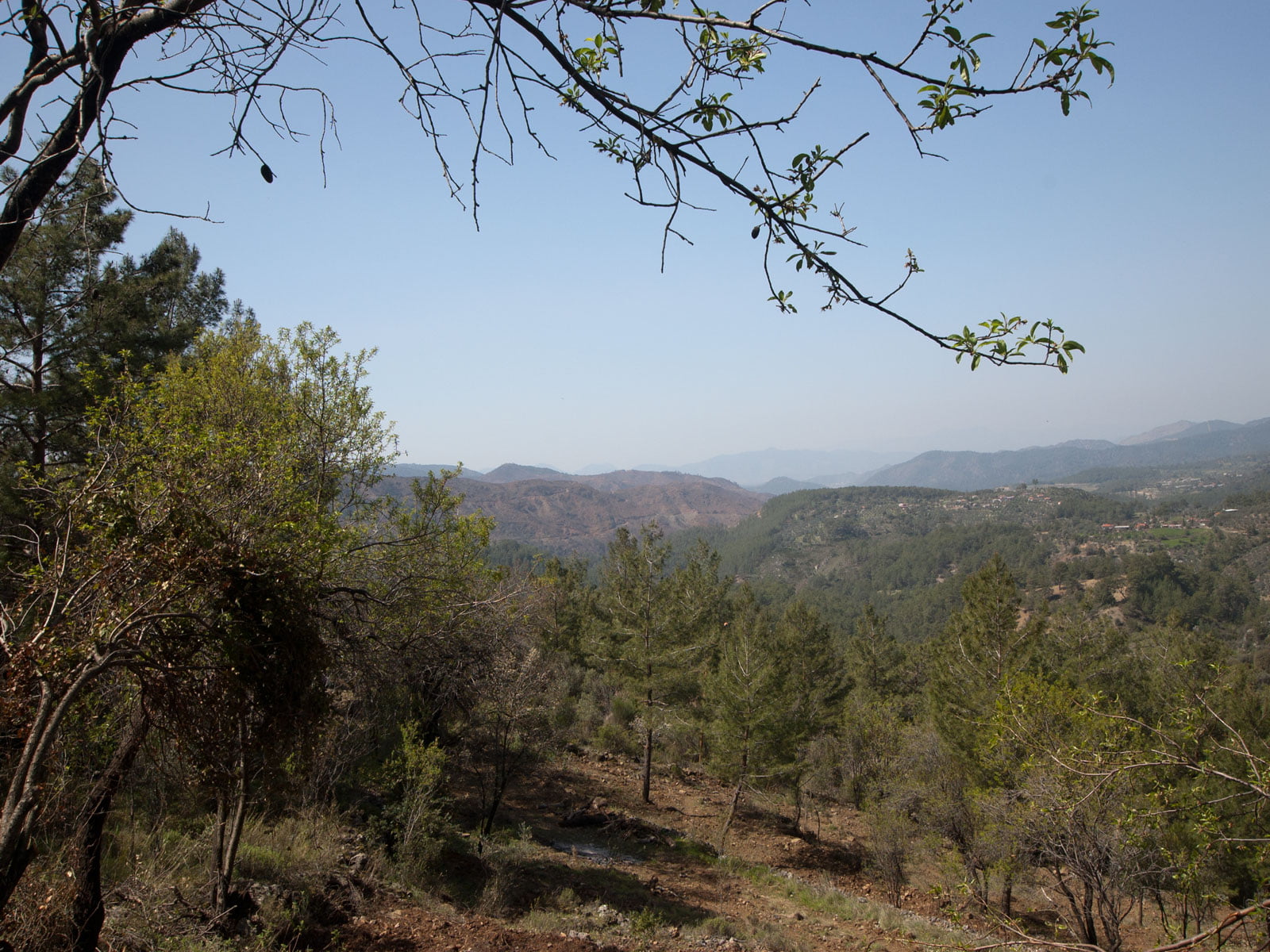 gokceovacik 104 5 gocek renals 11