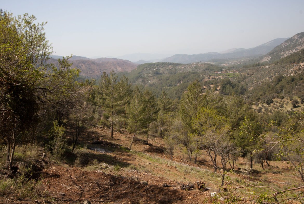 gokceovacik 104 5 gocek renals 12