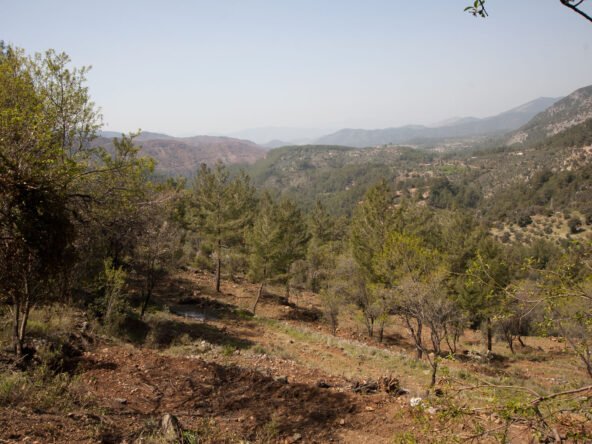 gokceovacik 104 5 gocek renals 12