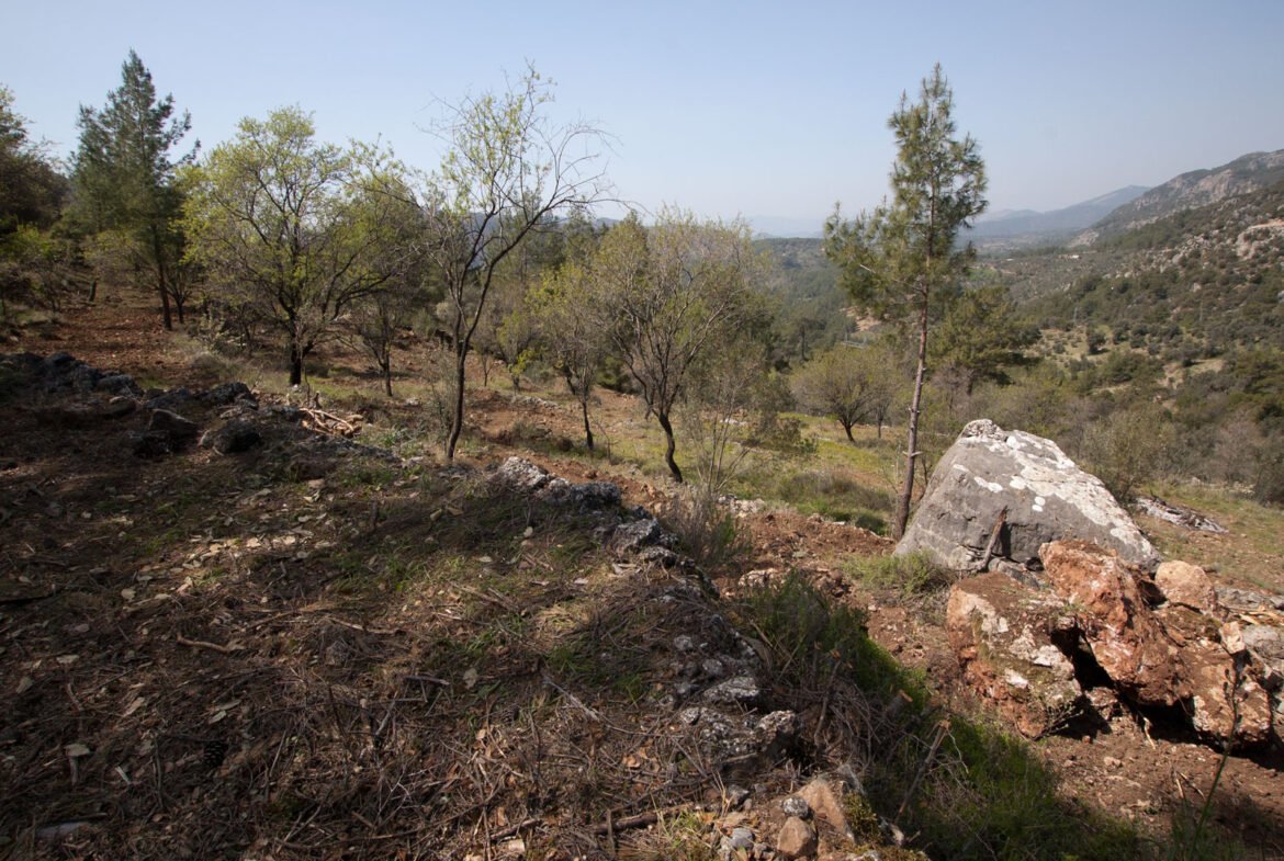 gokceovacik 104 5 gocek renals 16