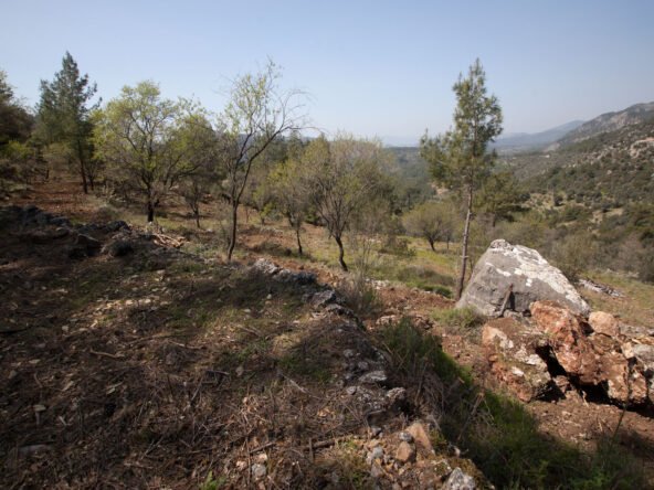 gokceovacik 104 5 gocek renals 16