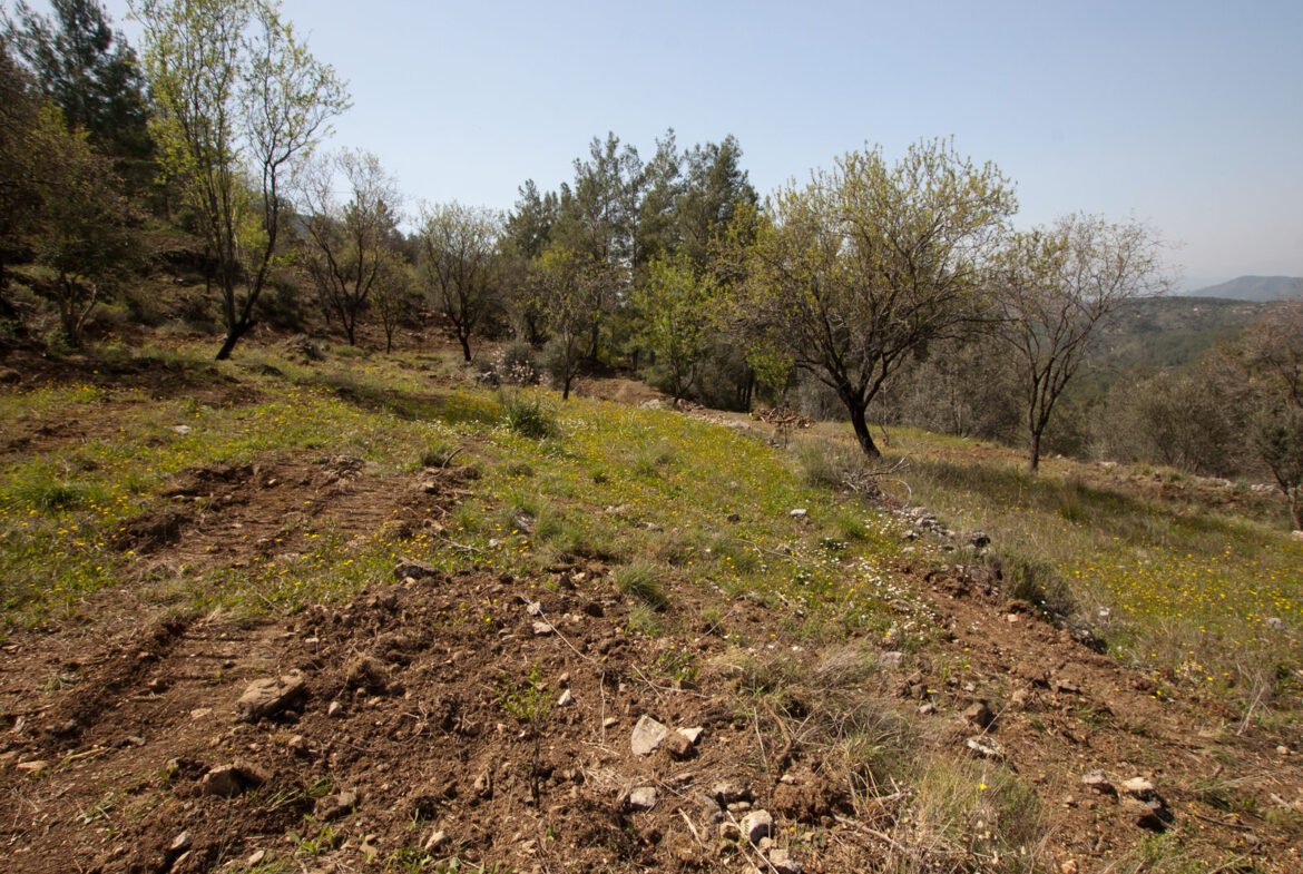 gokceovacik 104 5 gocek renals 17