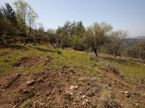 gokceovacik 104 5 gocek renals 17