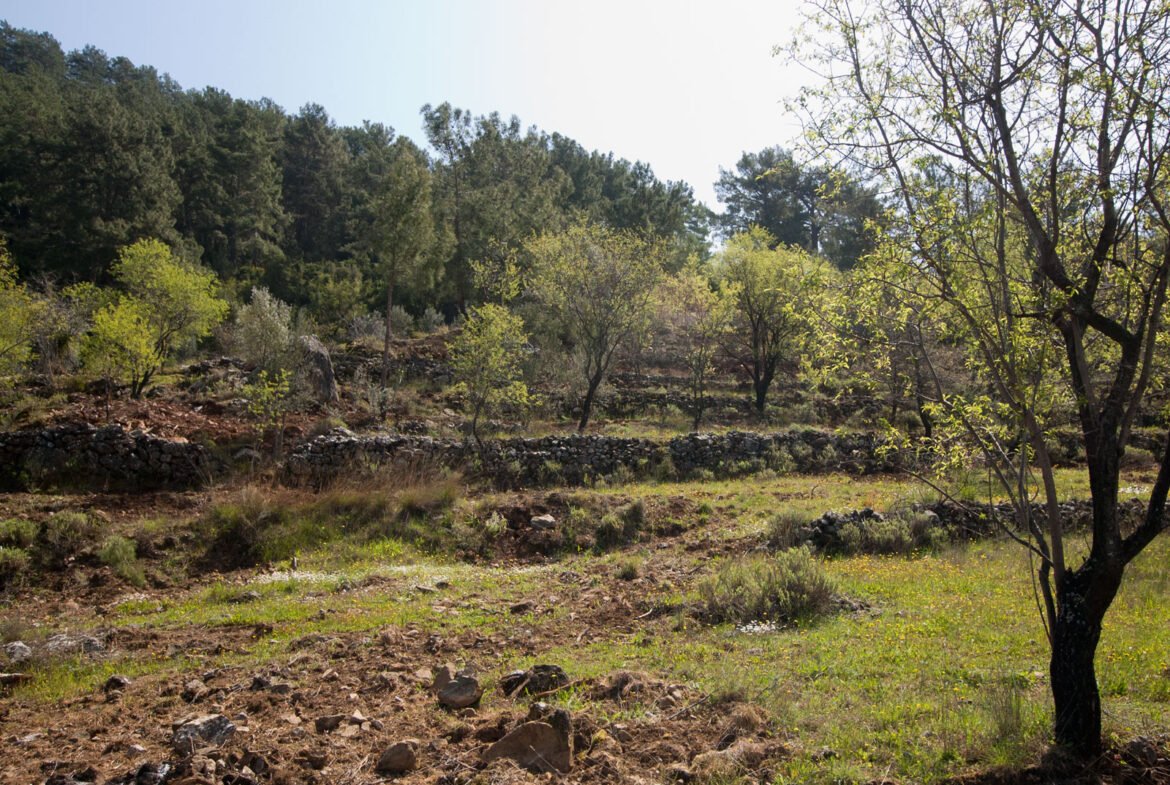 gokceovacik 104 5 gocek renals 18