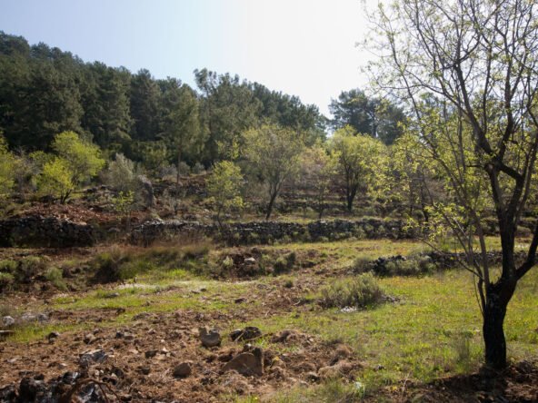 gokceovacik 104 5 gocek renals 18