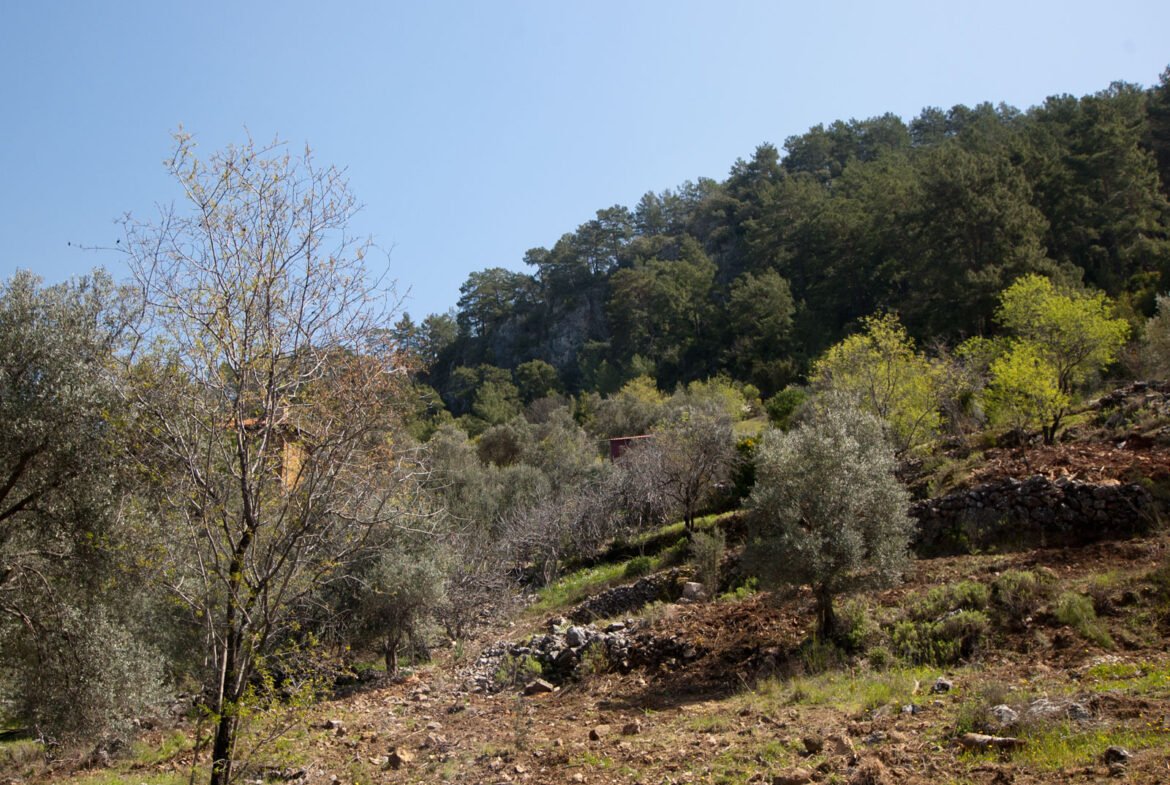 gokceovacik 104 5 gocek renals 19