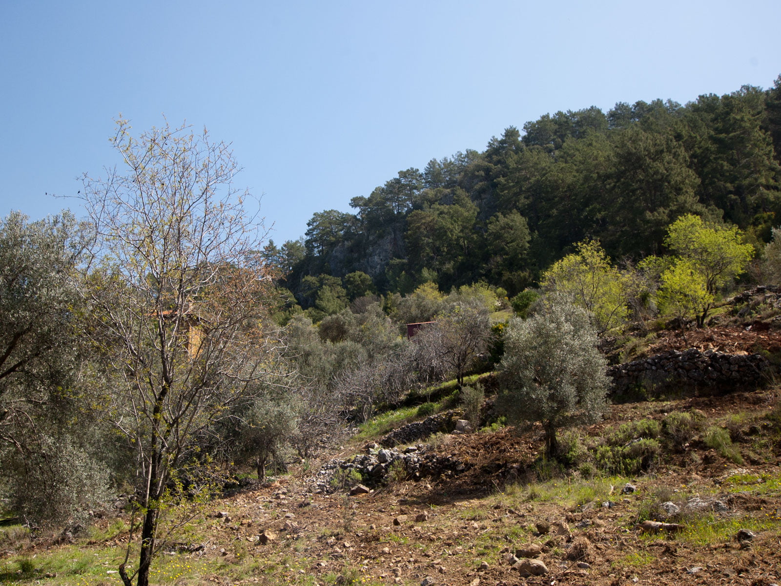 gokceovacik 104 5 gocek renals 19