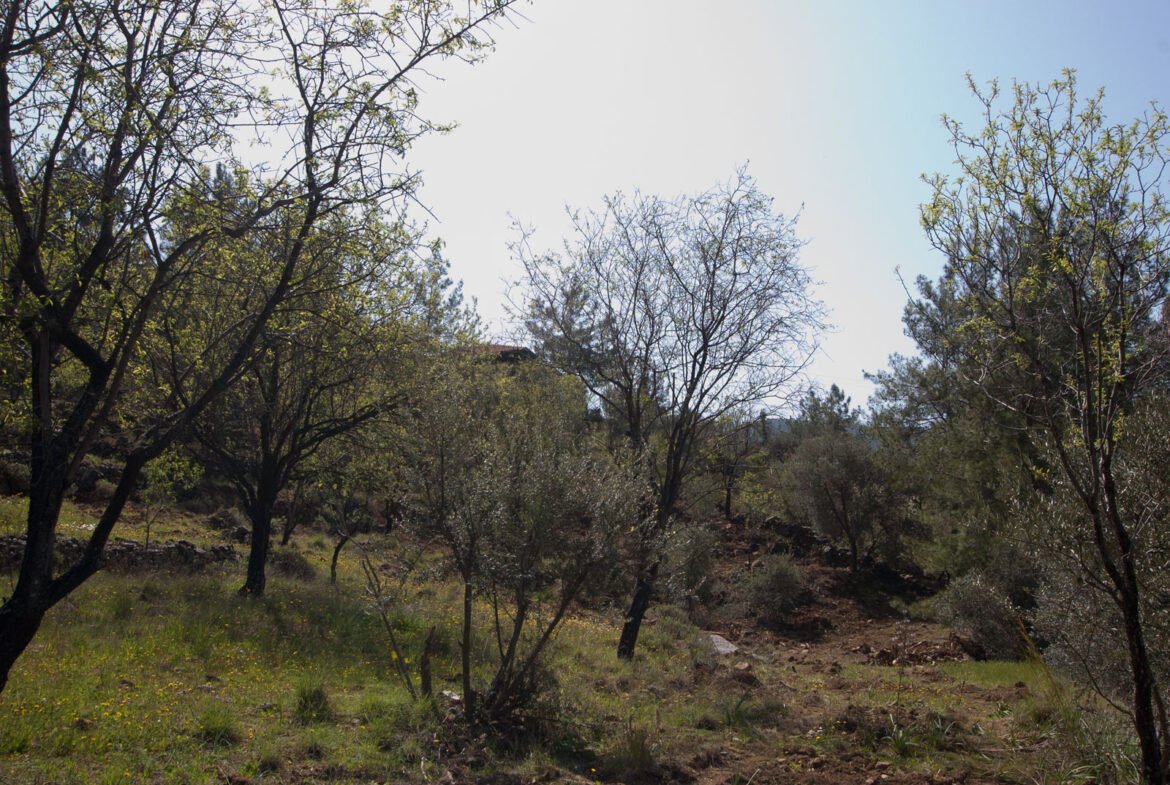 gokceovacik 104 5 gocek renals 20