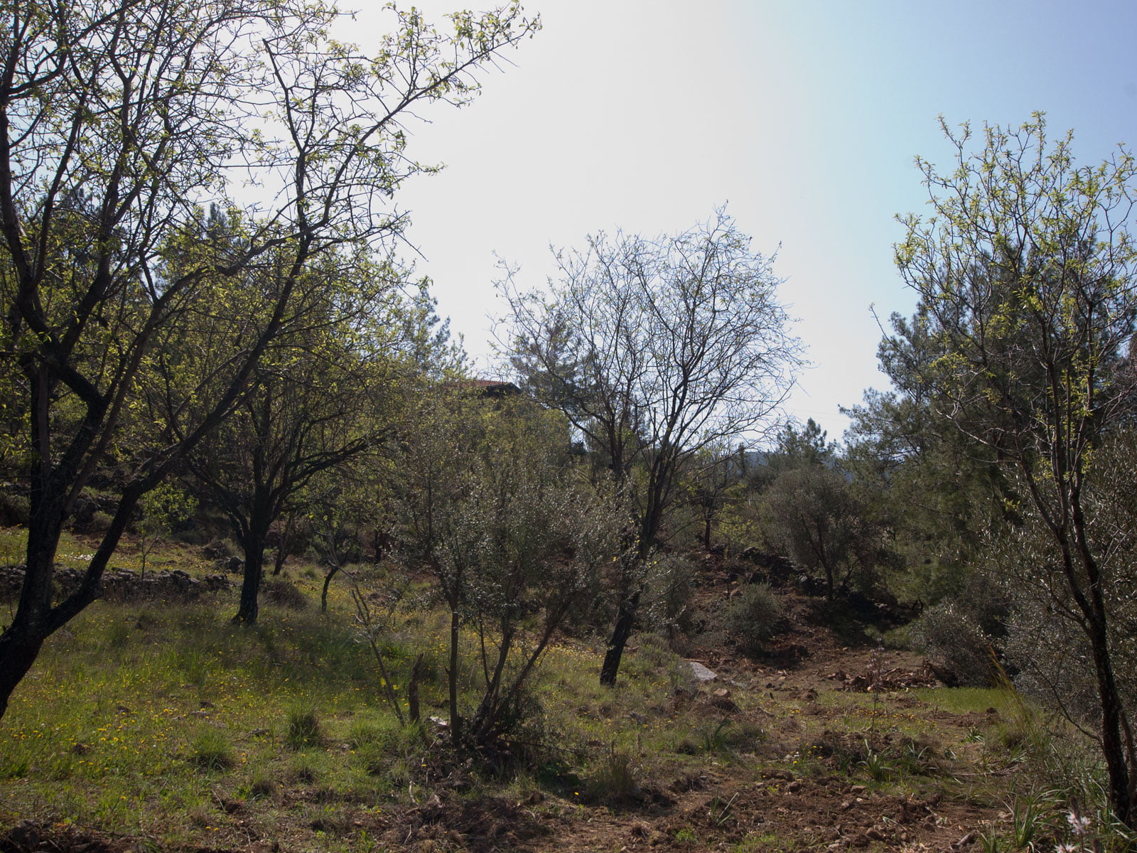 gokceovacik 104 5 gocek renals 20