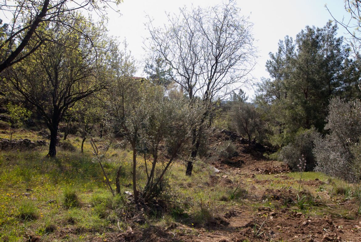 gokceovacik 104 5 gocek renals 21