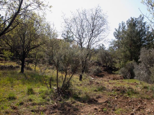 gokceovacik 104 5 gocek renals 21