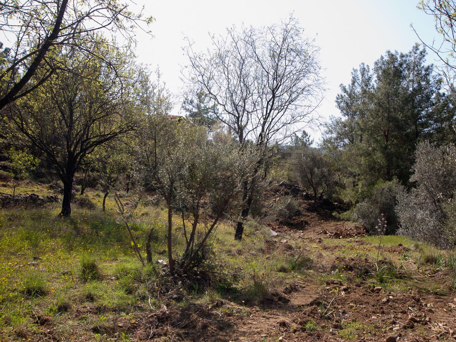 gokceovacik 104 5 gocek renals 21