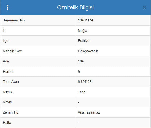 gokceovacik 104 5 gocek renals 26