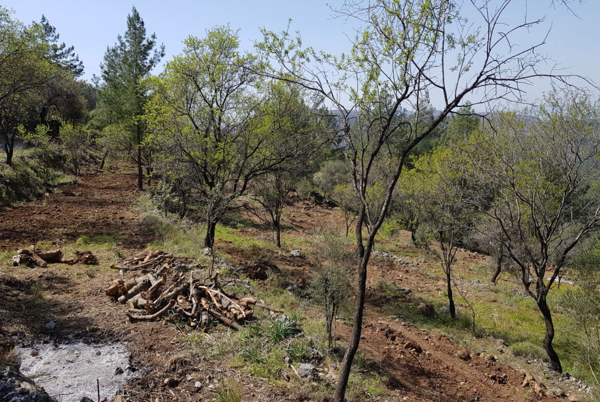 gokceovacik 104 5 gocek renals 4