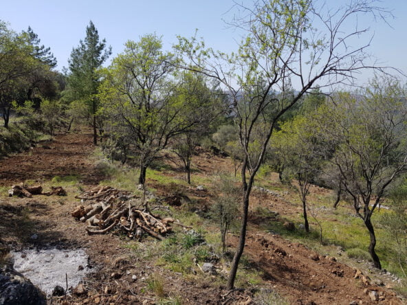 gokceovacik 104 5 gocek renals 4