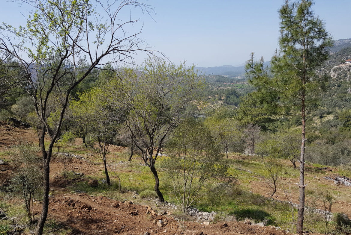 gokceovacik 104 5 gocek renals 5