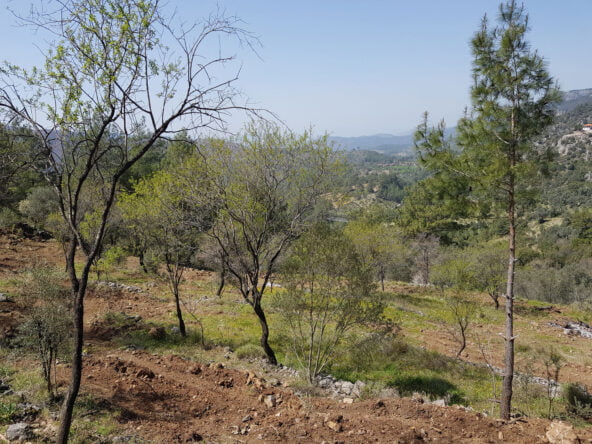 gokceovacik 104 5 gocek renals 5