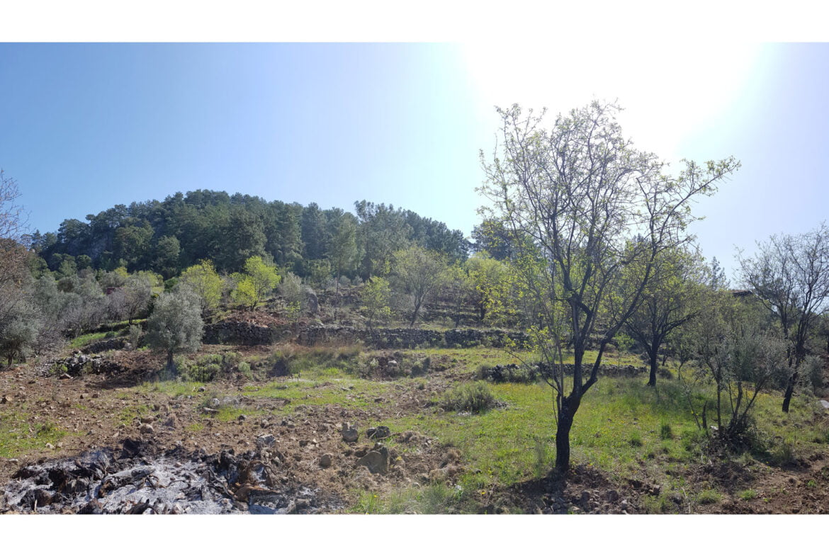 gokceovacik 104 5 gocek renals 8