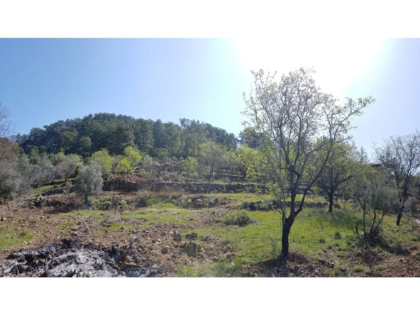 gokceovacik 104 5 gocek renals 8