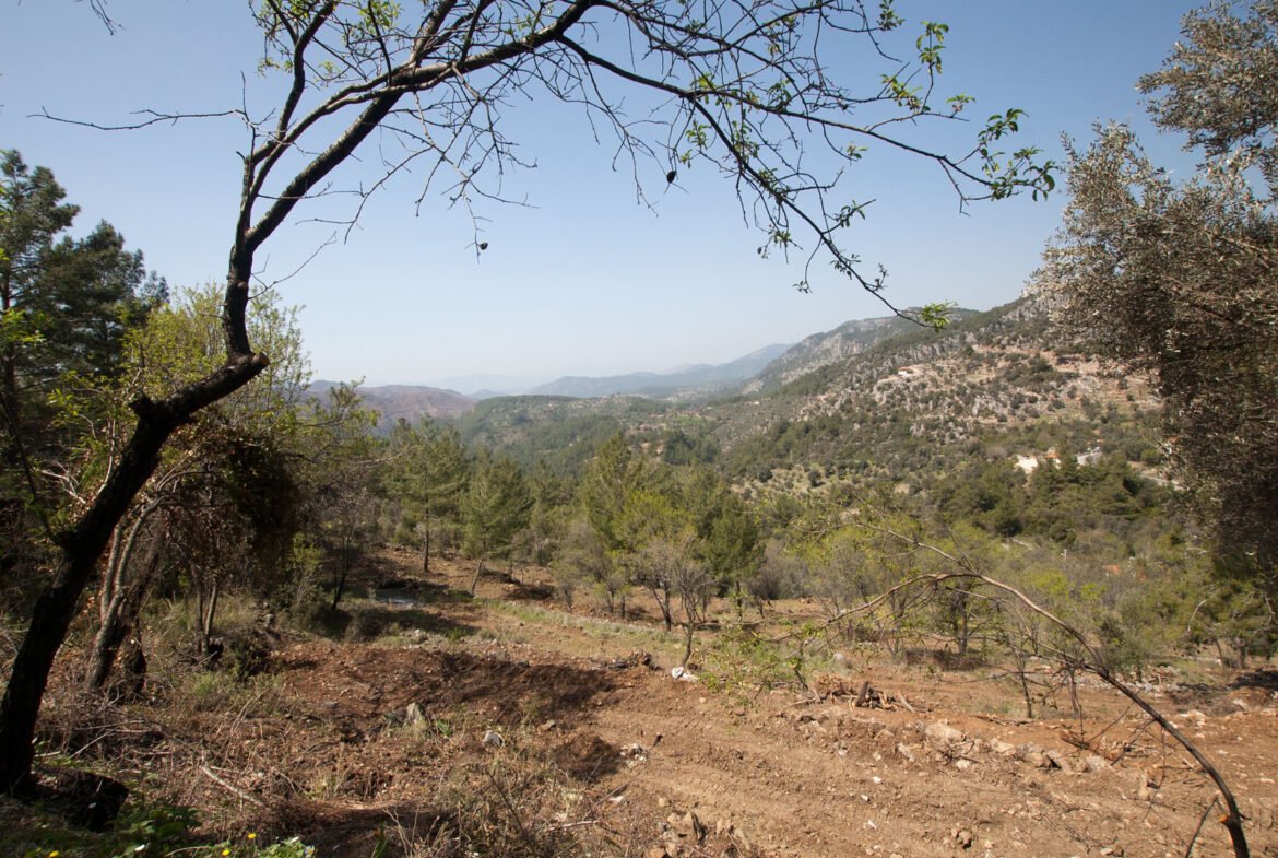 gokceovacik 104 5 gocek renals 9