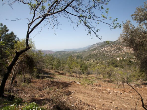 gokceovacik 104 5 gocek renals 9