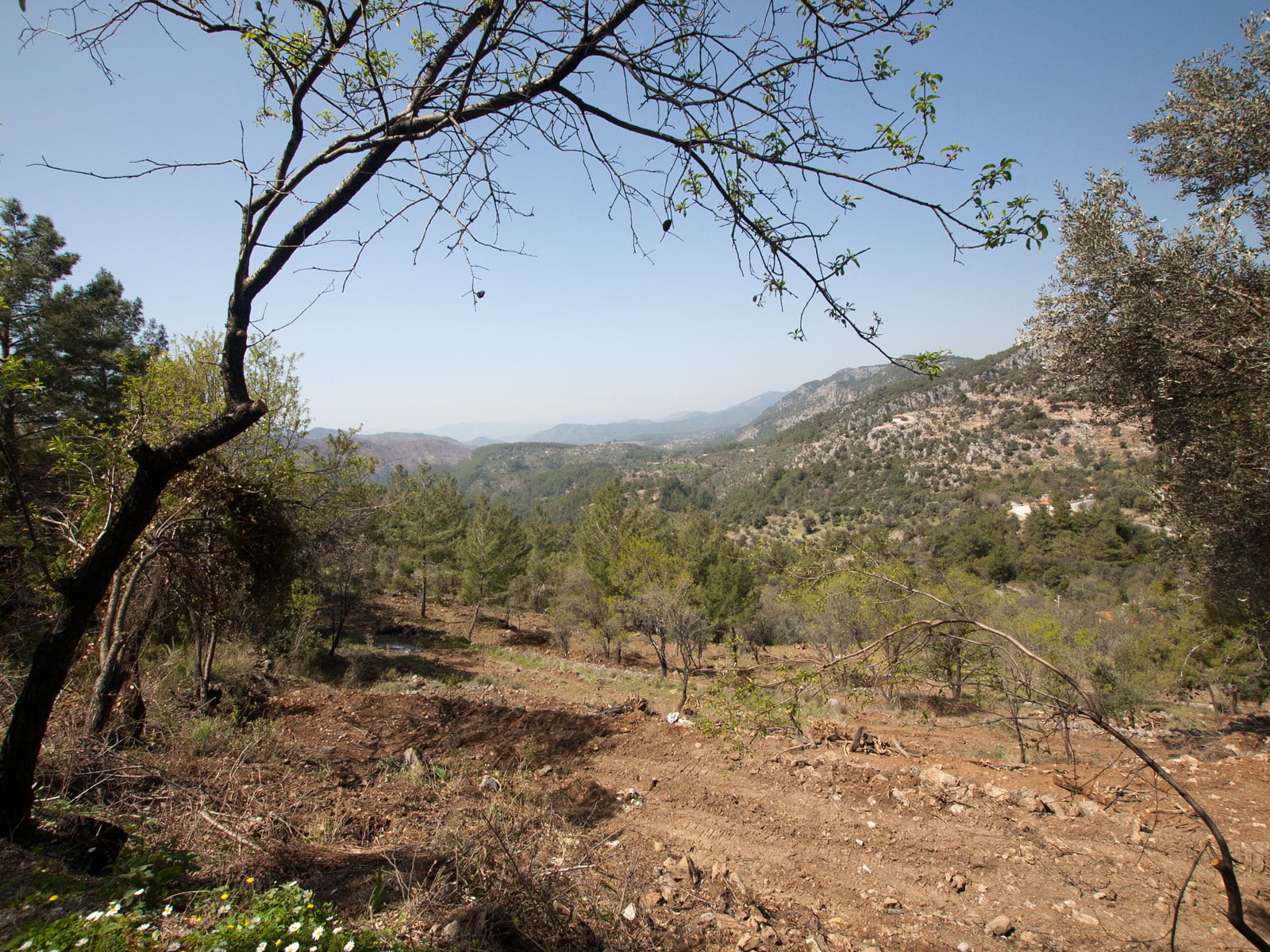 gokceovacik 104 5 gocek renals 9