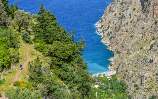 butterfly valley