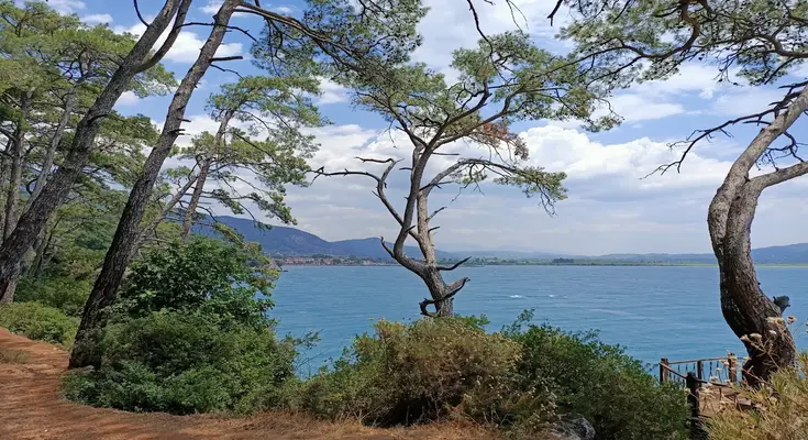 akyaka orman kamp alan x
