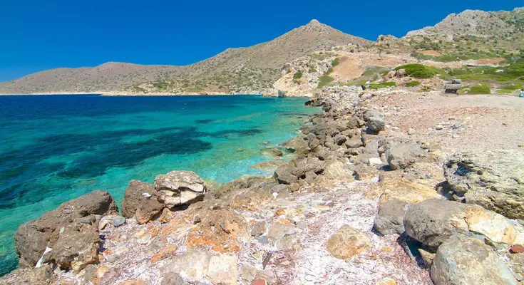 datca x